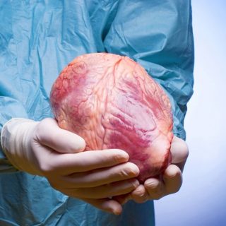 Patologia cardiovasculara ramane, din pacate, pe primul loc in ce priveste morbiditatea si mortalitate, atat pe plan mondial, ca si in Romania