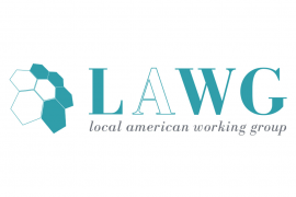 Prioritatile Local American Working Group – LAWG:  accesul la inovatie si contributia activa la modernizarea sistemului de sanatate din Romania