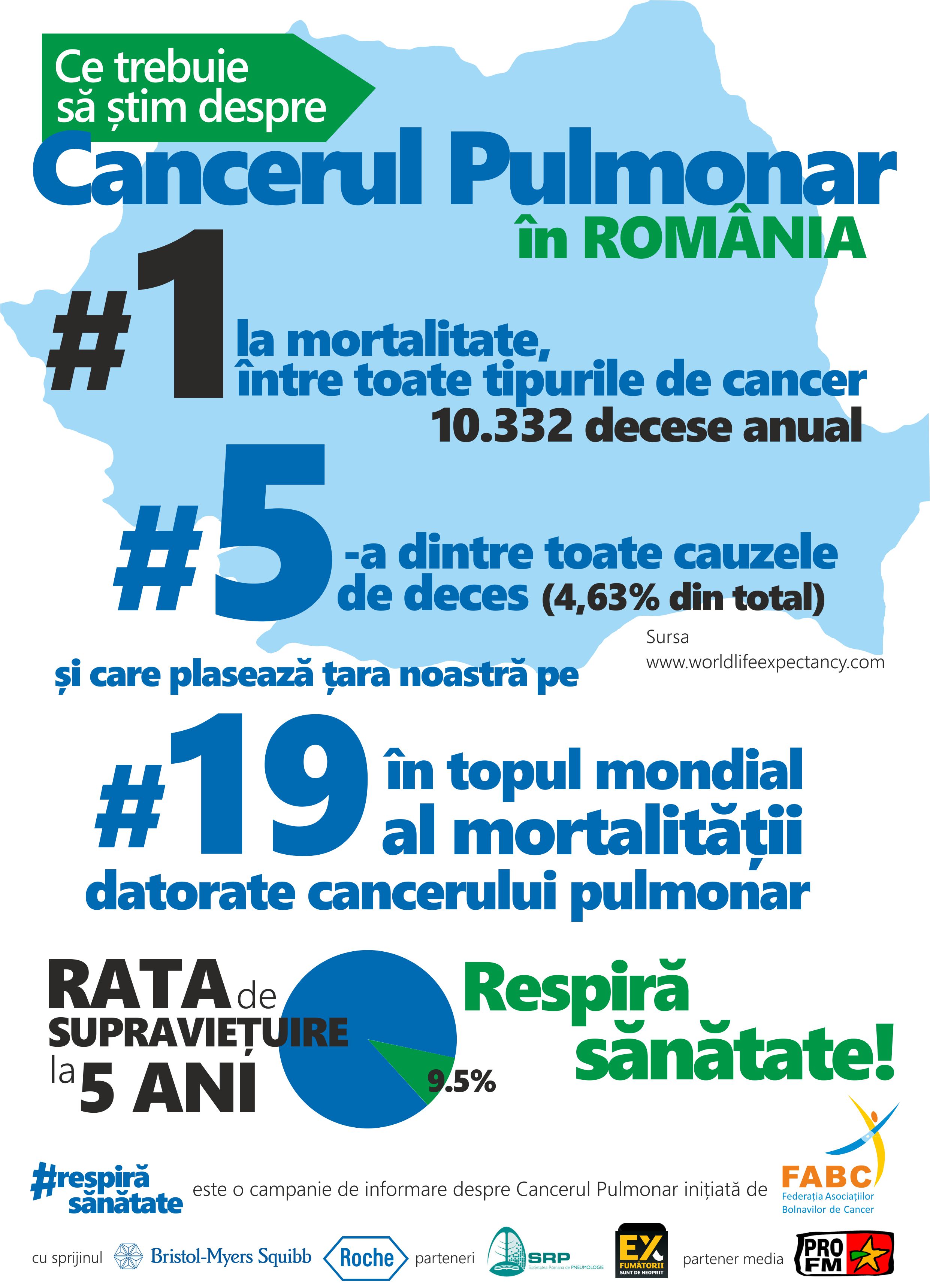 fact sheet Cancer Pulmonar 2015