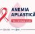 Anemia aplastica – boala rara a sangelui care afecteaza doi oameni la un milion si care poate duce la deces